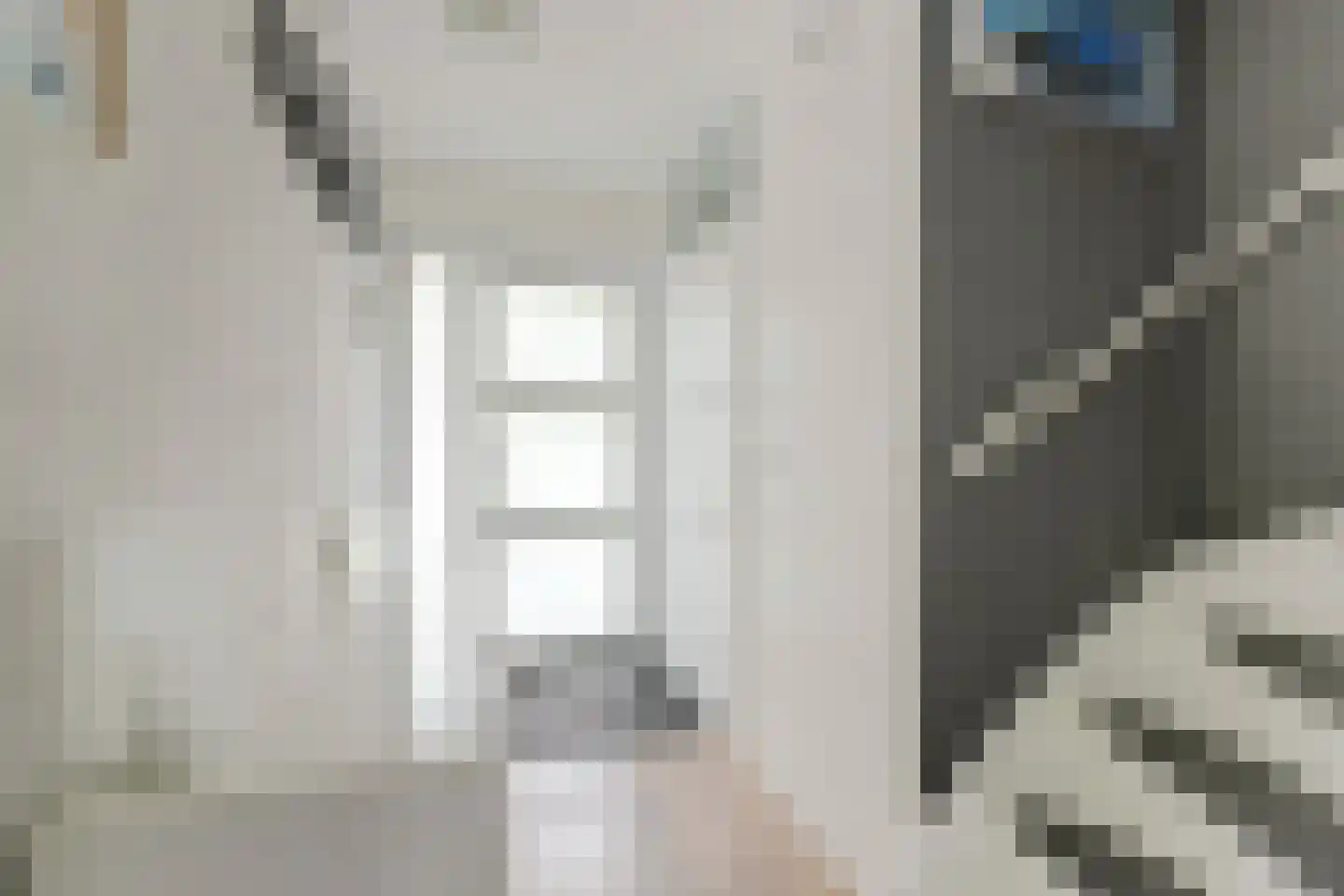 Pluutwerf 12 Gouda thumbnail 8