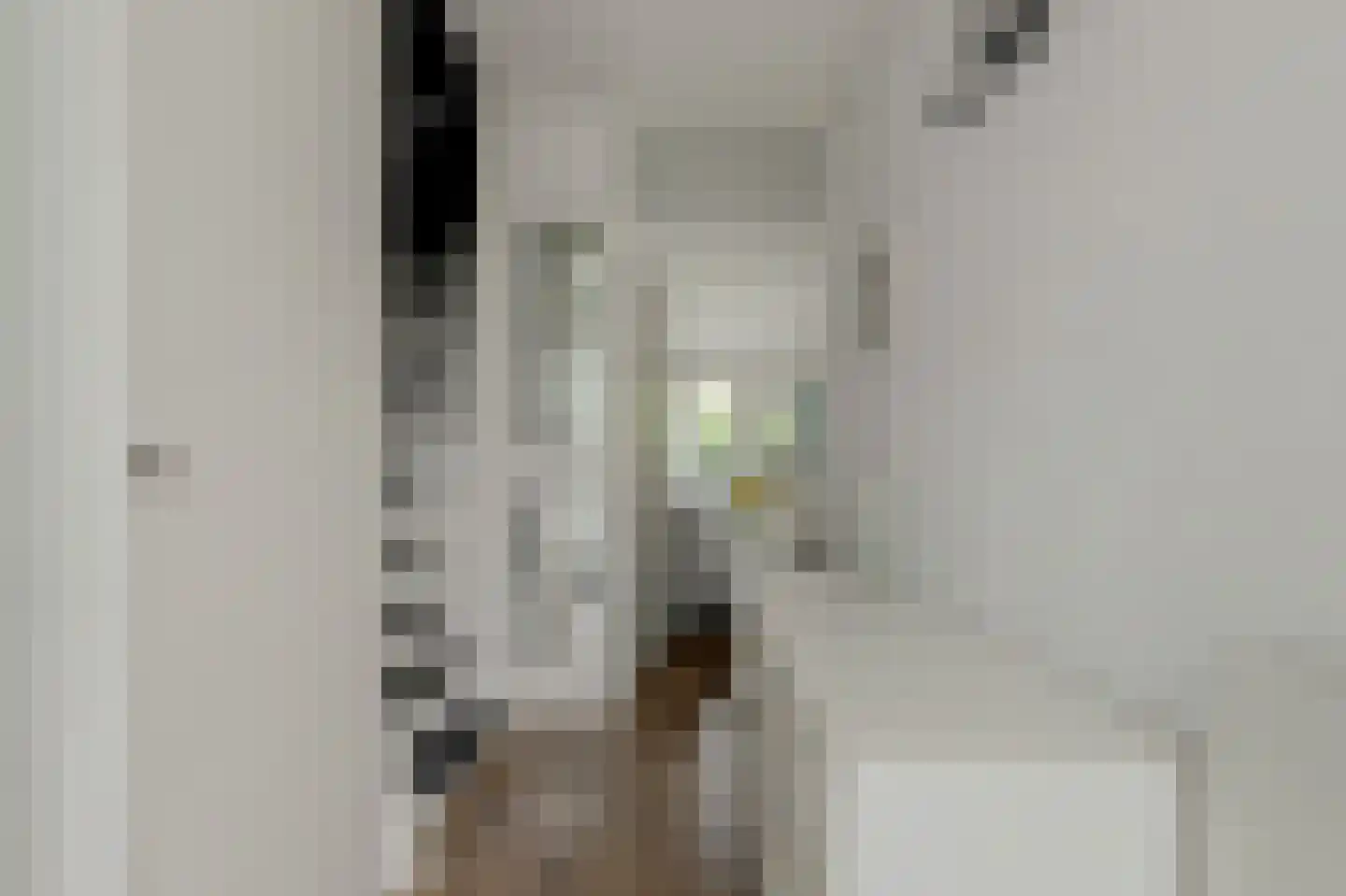 Pluutwerf 12 Gouda thumbnail 9