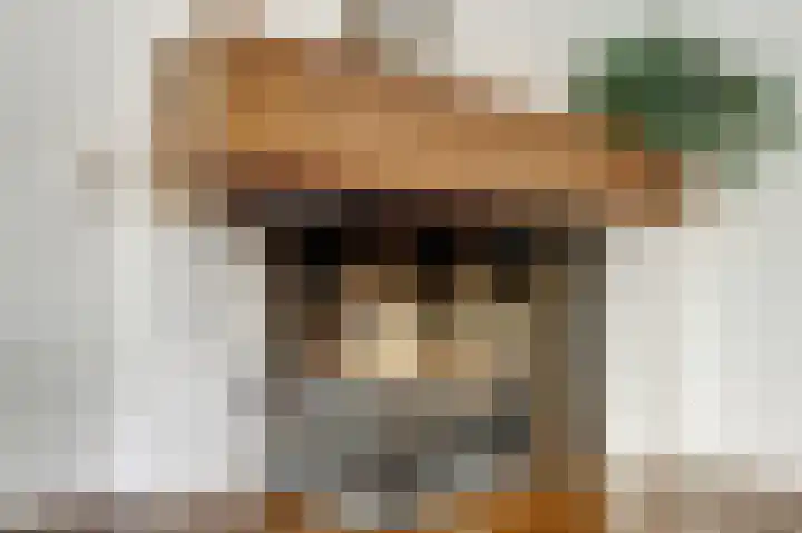 Pluutwerf 22 Gouda thumbnail 11