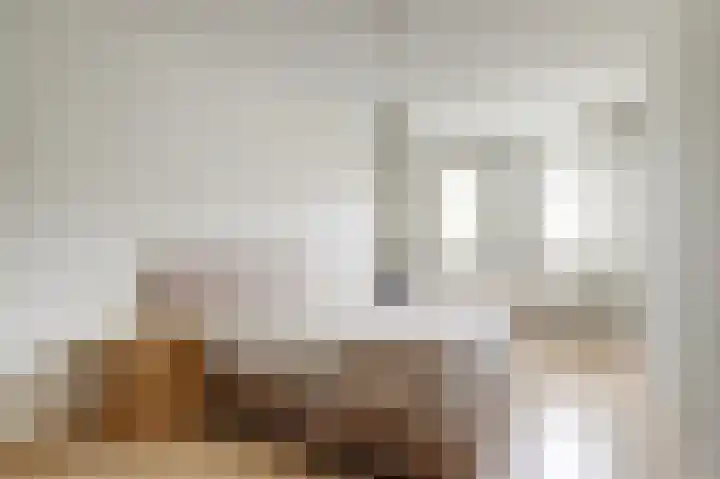 Pluutwerf 22 Gouda thumbnail 15