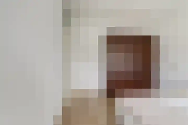 Pluutwerf 22 Gouda thumbnail 16