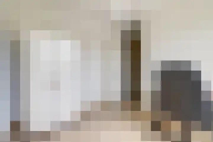 Pluutwerf 22 Gouda thumbnail 18
