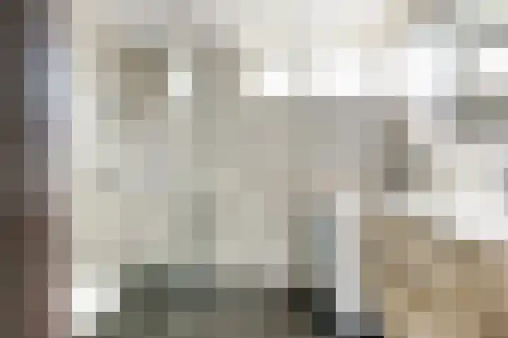 Pluutwerf 22 Gouda thumbnail 21