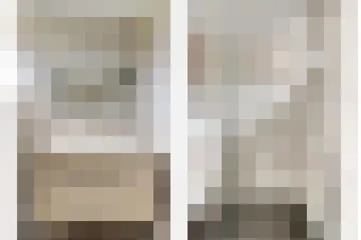 Pluutwerf 22 Gouda thumbnail 22