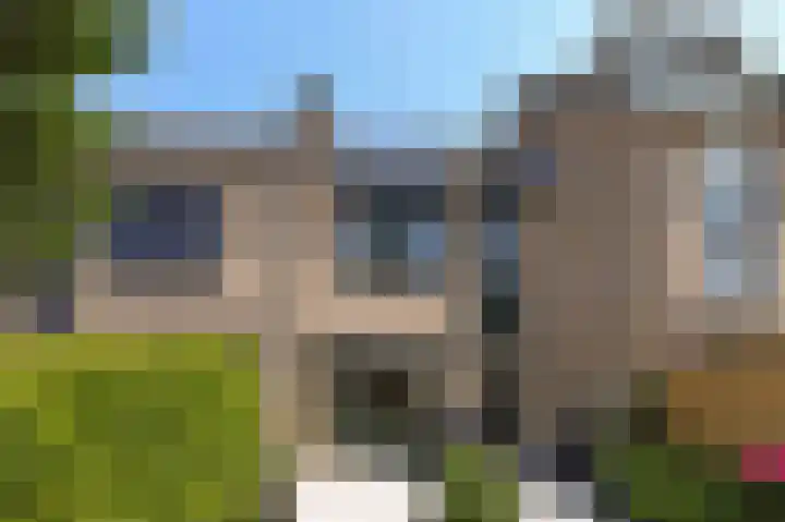 Pluutwerf 22 Gouda thumbnail 26
