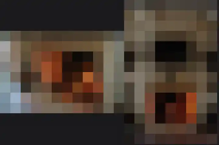 Pluutwerf 22 Gouda thumbnail 28