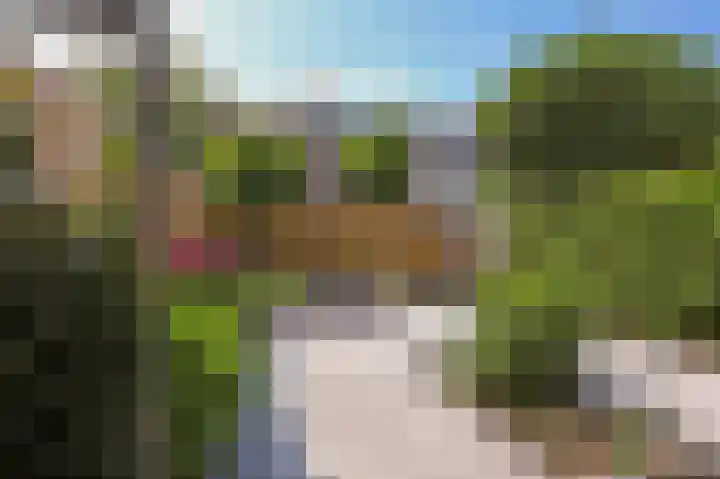 Pluutwerf 22 Gouda thumbnail 28