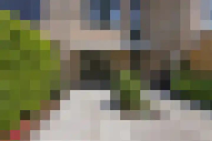 Pluutwerf 22 Gouda thumbnail 30
