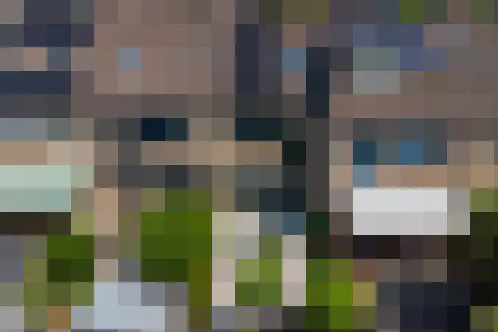 Pluutwerf 22 Gouda thumbnail 31