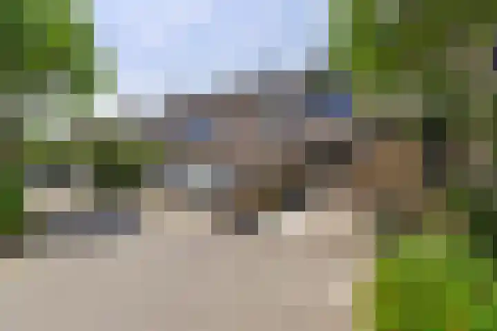 Pluutwerf 22 Gouda thumbnail 33