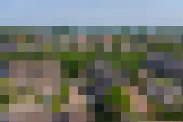 Pluutwerf 22 Gouda thumbnail 36