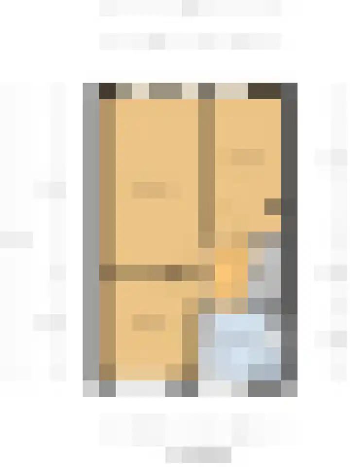 Pluutwerf 22 Gouda thumbnail 38