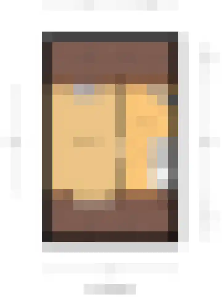 Pluutwerf 22 Gouda thumbnail 39