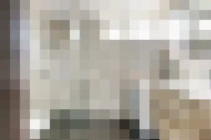 Pluutwerf 22 Gouda thumbnail 5