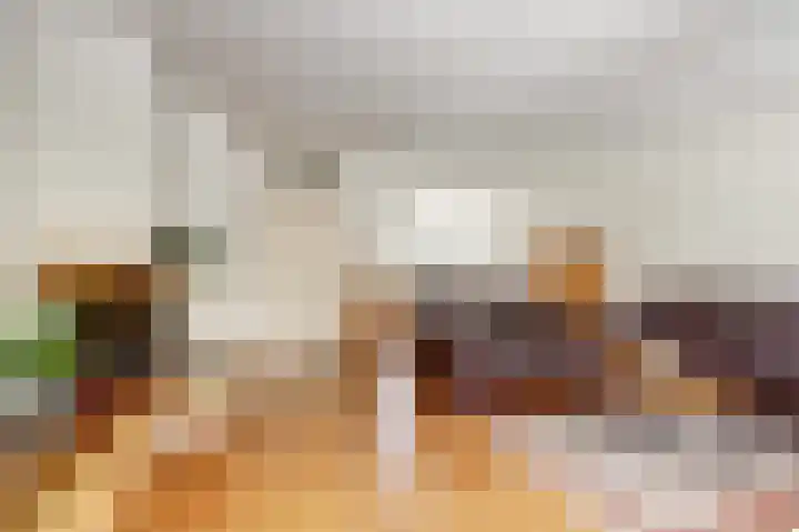 Pluutwerf 22 Gouda thumbnail 8