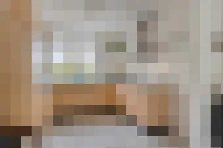 Pluutwerf 32 Gouda thumbnail 11