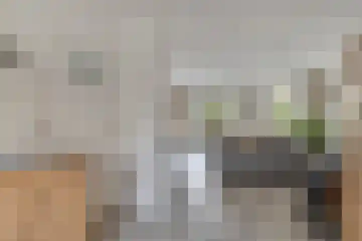 Pluutwerf 32 Gouda thumbnail 13