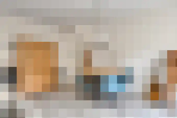 Pluutwerf 32 Gouda thumbnail 14