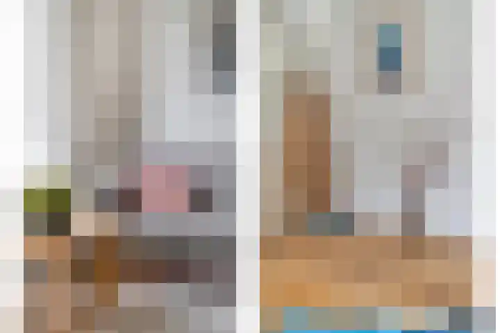 Pluutwerf 32 Gouda thumbnail 15