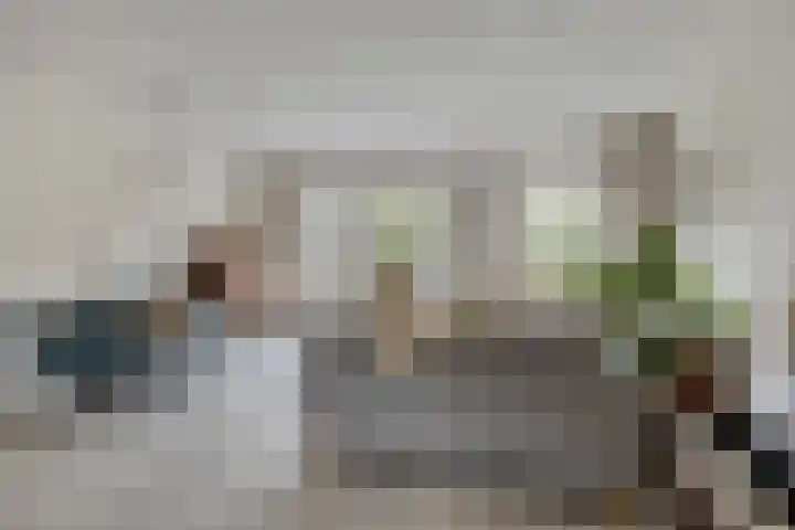 Pluutwerf 32 Gouda thumbnail 16