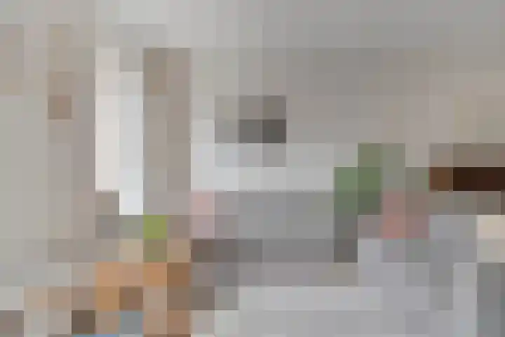 Pluutwerf 32 Gouda thumbnail 17