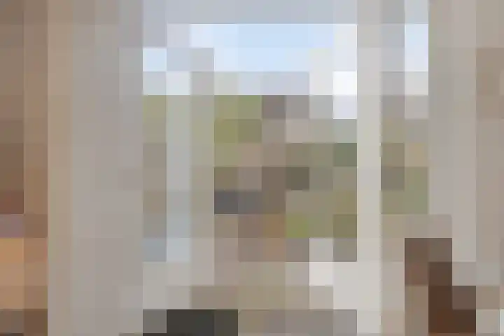 Pluutwerf 32 Gouda thumbnail 18