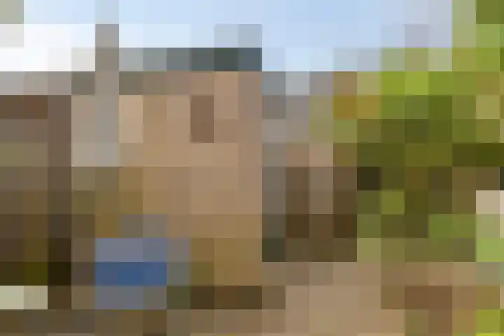 Pluutwerf 32 Gouda thumbnail 19