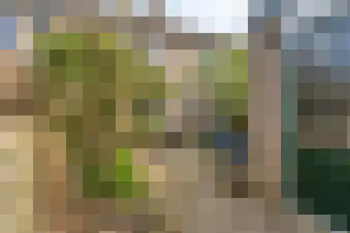 Pluutwerf 32 Gouda thumbnail 20