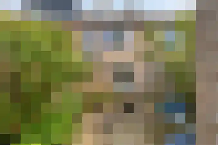 Pluutwerf 32 Gouda thumbnail 21