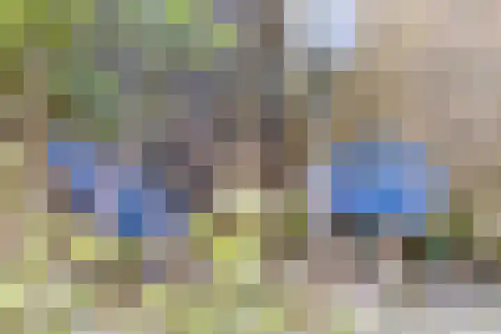 Pluutwerf 32 Gouda thumbnail 22