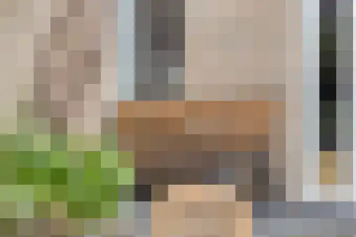 Pluutwerf 32 Gouda thumbnail 23