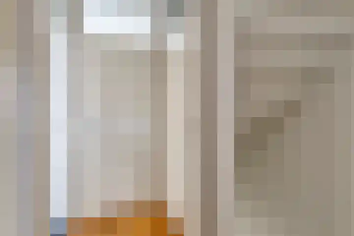 Pluutwerf 32 Gouda thumbnail 24
