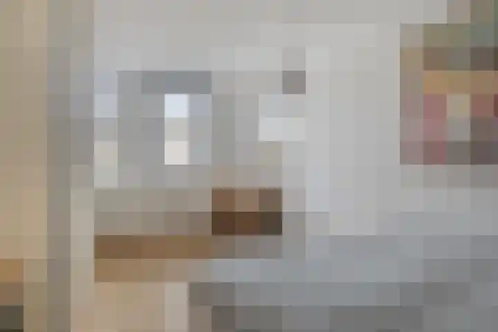Pluutwerf 32 Gouda thumbnail 26