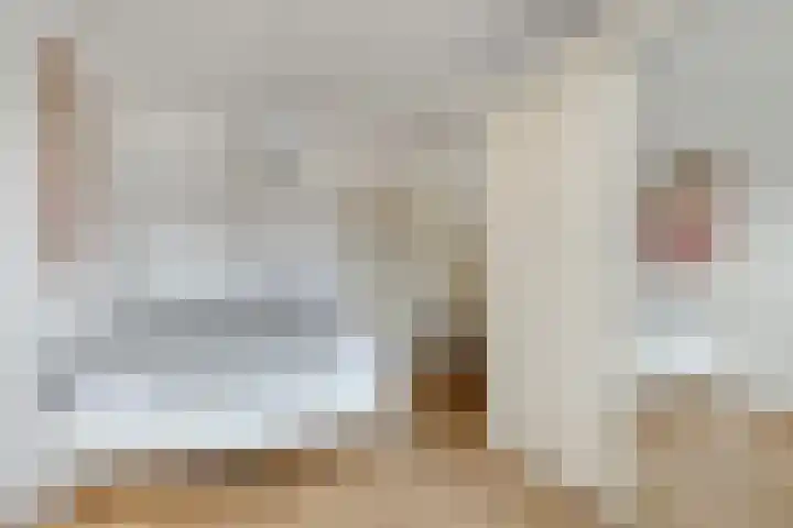Pluutwerf 32 Gouda thumbnail 27