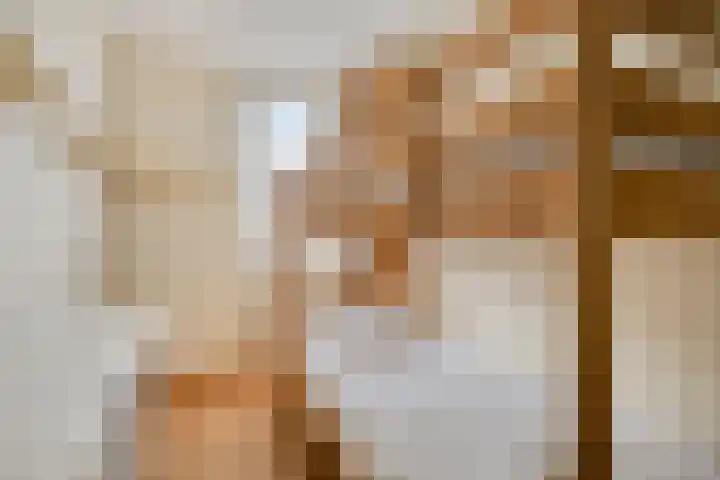 Pluutwerf 32 Gouda thumbnail 28
