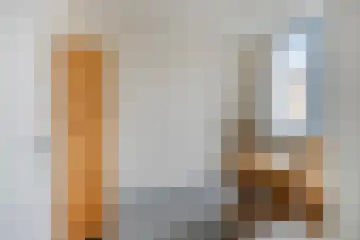 Pluutwerf 32 Gouda thumbnail 30