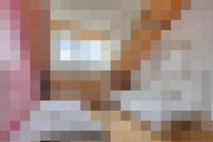 Pluutwerf 32 Gouda thumbnail 35