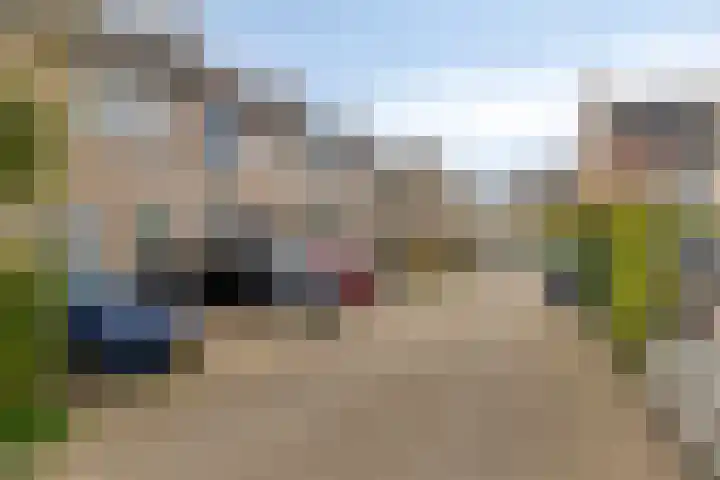 Pluutwerf 32 Gouda thumbnail 38