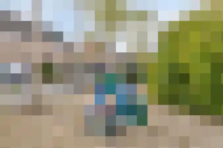 Pluutwerf 32 Gouda thumbnail 39