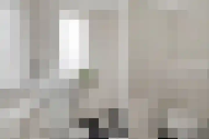 Pluutwerf 32 Gouda thumbnail 4