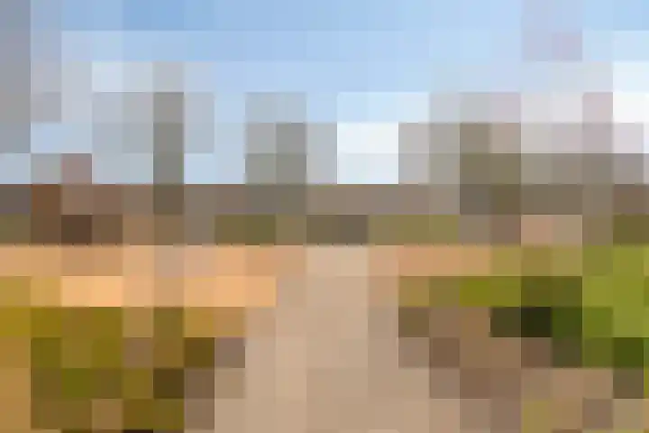 Pluutwerf 32 Gouda thumbnail 40