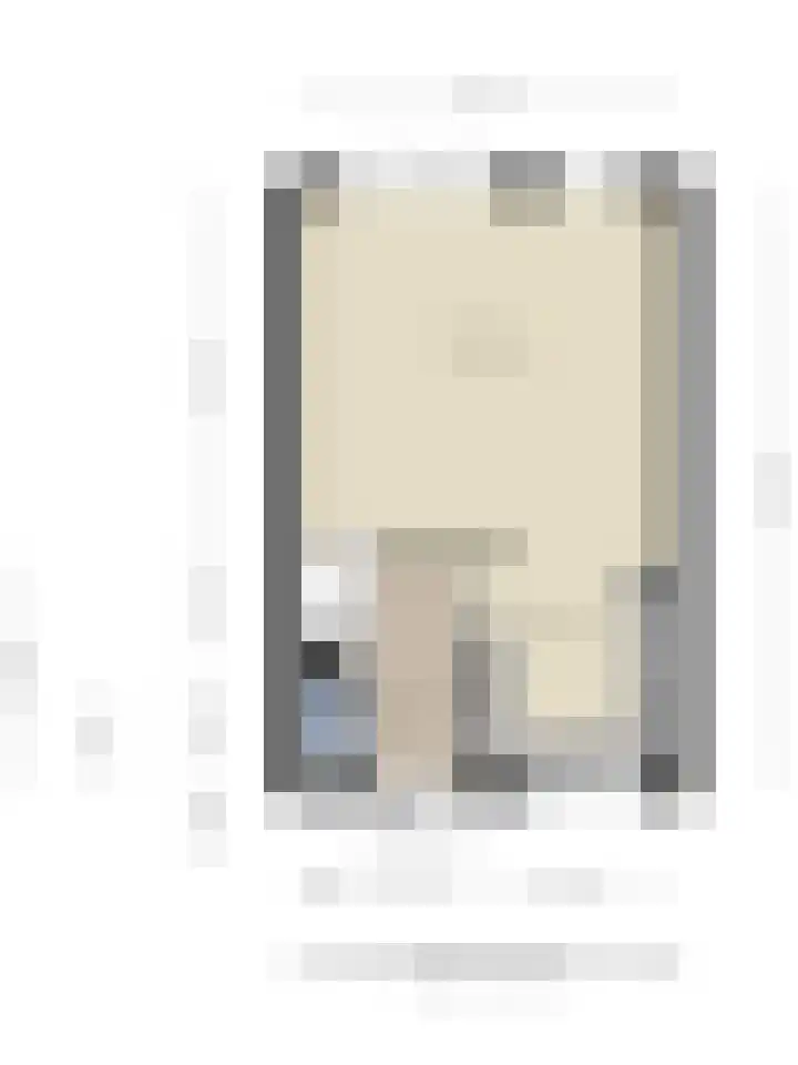 Pluutwerf 32 Gouda thumbnail 41