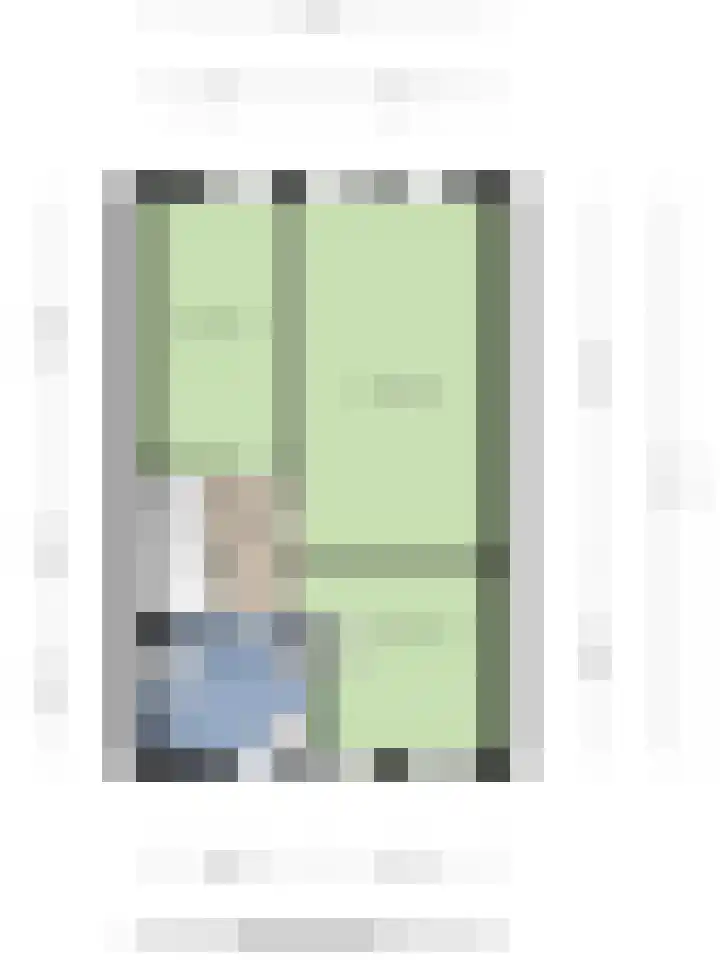 Pluutwerf 32 Gouda thumbnail 42