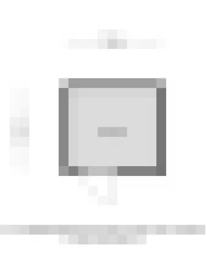 Pluutwerf 32 Gouda thumbnail 44