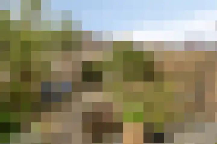 Pluutwerf 32 Gouda thumbnail 5