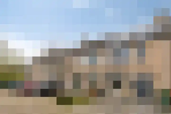 Pluutwerf 32 Gouda thumbnail 6