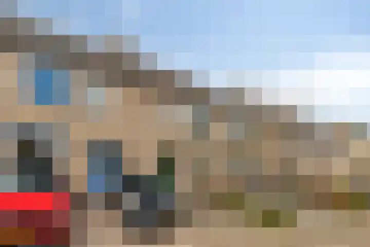 Pluutwerf 32 Gouda thumbnail 7
