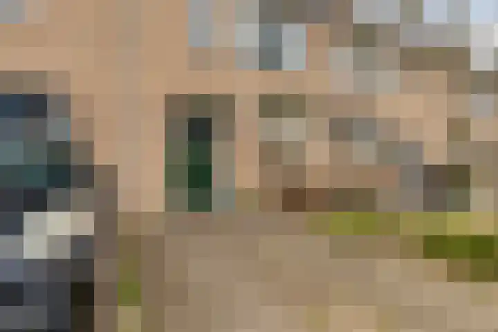 Pluutwerf 32 Gouda thumbnail 8