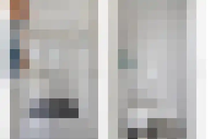 Pluutwerf 32 Gouda thumbnail 9