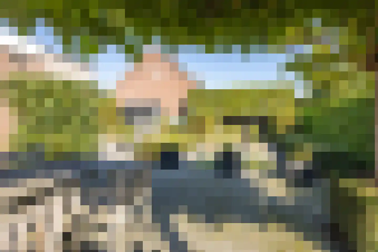Pluvier 13 Philippine thumbnail 4